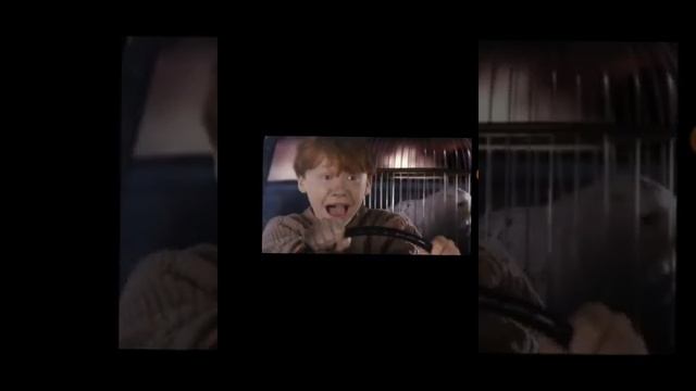 Тайная комната, 6 серия! #гарри #поттер #гаррипоттер #рональд #ронуизли #братисестра #любовь смотреть онлайн