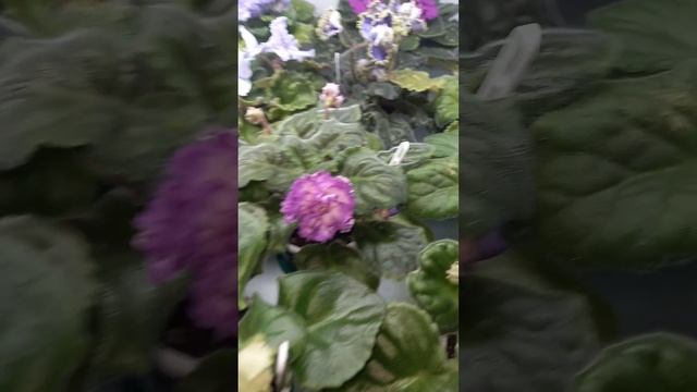 Обзор стеллажей. смотреть онлайн