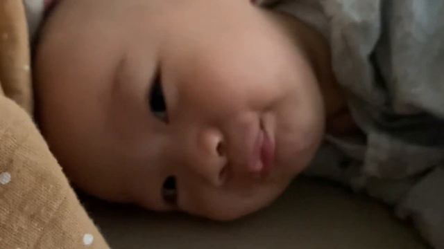 Haha - Nguyễn Hoàng Anh 17/11/2022 смотреть онлайн