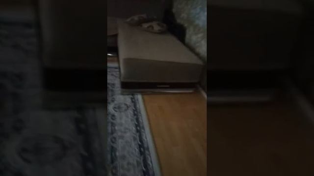 Я показываю как у меня болит ухо смотреть онлайн