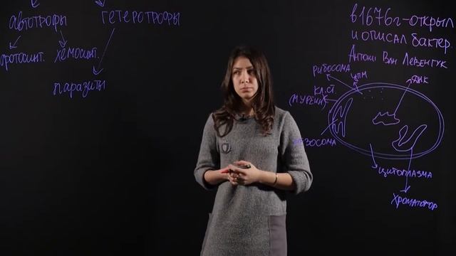 БИОЛОГИЯ 6 класс: Строение и жизнедеятельность бактерий. Роль бактерий в природе человека смотреть онлайн