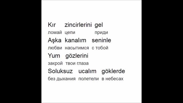 Турецкий по песням&караоке Tarkan «Bu Gece»