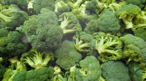 Как выращивать ростки брокколи в домашних условиях