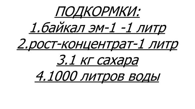 ОБЗОР ХРИЗАНТЕМЫ 25 ИЮНЯ.ПОДКОРМКИ И ОБРАБОТКИ. смотреть онлайн