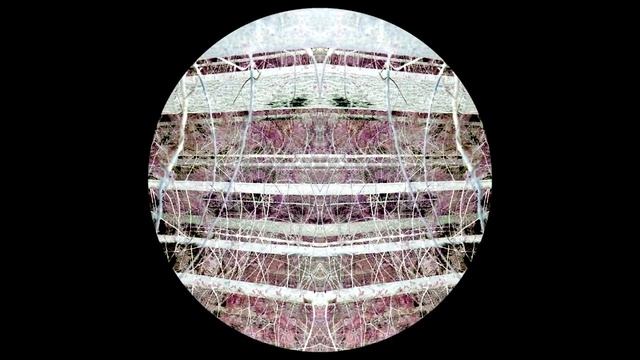 14.02.2016 "В воды он Стикса смотрел на себя" смотреть онлайн