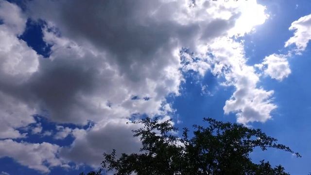 Мастерство и Стремление