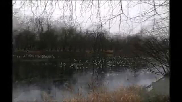 #Лазенковское #озеро смотреть онлайн