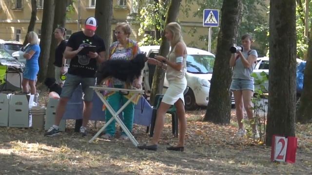 КЛИС ГЕЛУК ФИЛИМОН (КАВАЛЕР КИНГ ЧАРЛЬЗ СПАНИЕЛЬ ) Обнинск 27 августа 2022 Екатерина Орлова смотреть онлайн