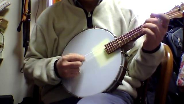 4 String Mandolin Banjo tuned octave below with Nylon Strings смотреть онлайн