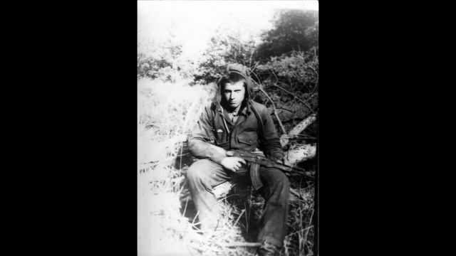 ГСВГ Александр Васильев идрузья Лейпциг Шенау п п60370 1975 1977 гг смотреть онлайн