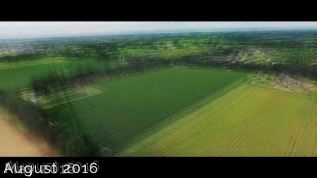 Van den Elzen Plants - New raspberry and strawberry fields in production! смотреть онлайн