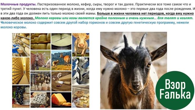 ТОП 5 + 5 ПРОДУКТОВ ПРОТИВ МОРЩИН и РЕЦЕПТ САЛАТА МОЛОДОСТИ смотреть онлайн