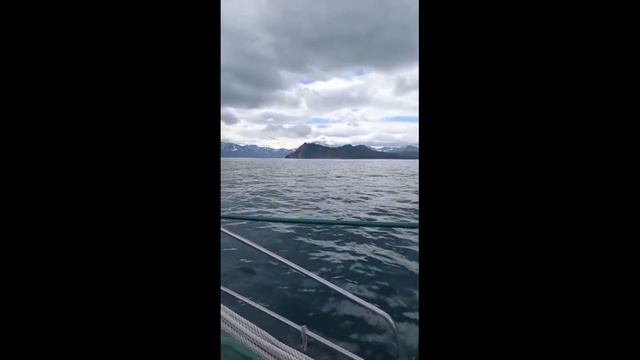❄Зима на Камчатке🏔 Тихий океан🌊Долина гейзеров🏞 смотреть онлайн