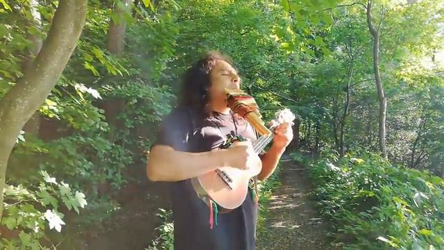 Hey jude. ukulele смотреть онлайн