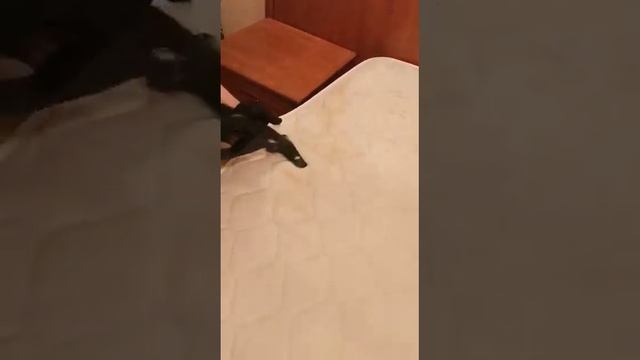 Как быстро удалить стойкие пятна с матраса? смотреть онлайн