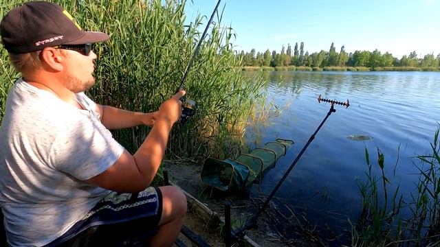 ПЛОТВА . РЫБАЛКА на ФИДЕР . Советы начинающим фидеристам . смотреть онлайн