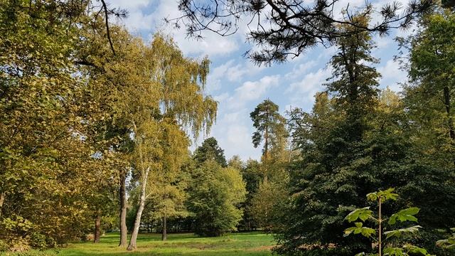 на природе смотреть онлайн