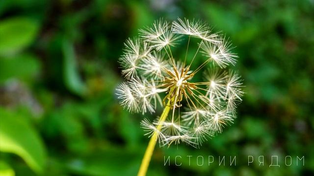 Придя в ломбард, она протянула кольцо, но она еще не знала, что… смотреть онлайн