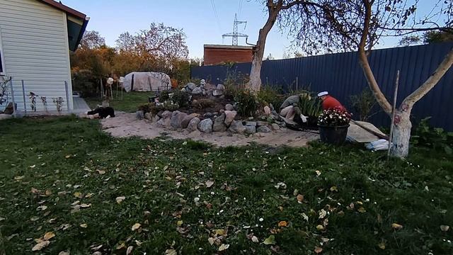 РАБОТАЕМ В САДУ ПЕРЕСАЖИВАЕМ БОЛЬШИЕ КОРНИ ЦВЕТОВ ИРИСА . ИГРАЕМСЯ С СОБАКОЙ   12 ОКТЯБРЯ 2022 .