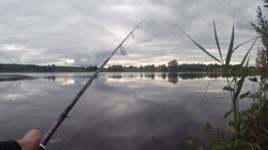 Ловля ОКУНЯ на силикон! Эта приманка сводит ОКУНЯ с ума!!! Недолгая, но хорошая рыбалка!