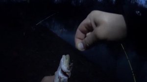 Рыбалка на налима весной. Весна 2022. часть 2