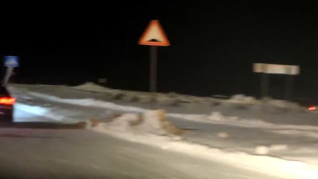 На встрече Cruze Club ru Сургут смотреть онлайн