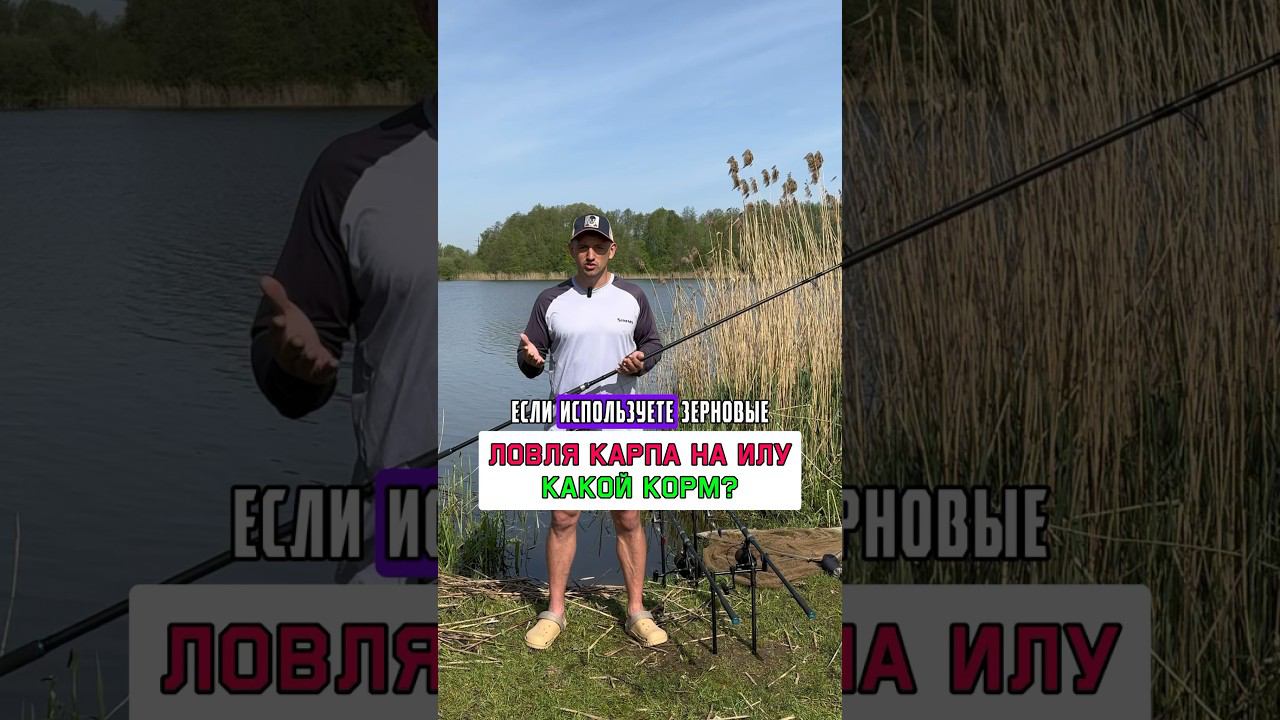 КОРМ для ловли карпа на ИЛУ #карпфишинг смотреть онлайн