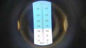 Сладкий сорт клубники Фавори ( нсд ) обзор и дегустация