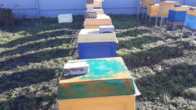 ЗИМОВКА НА УЛИЦЕ НА СЕТЧАТОМ ДНЕ В УЛЬЕ ИЗ ППУ Убираем лишние рамки смотреть онлайн