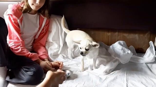 Не буду воду! смотреть онлайн