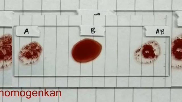 Karenina Maria Fairuz смотреть онлайн