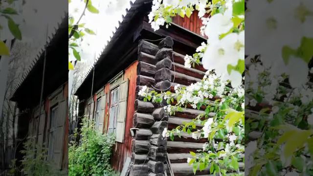 Дома и недвижимость в Челябинске смотреть онлайн