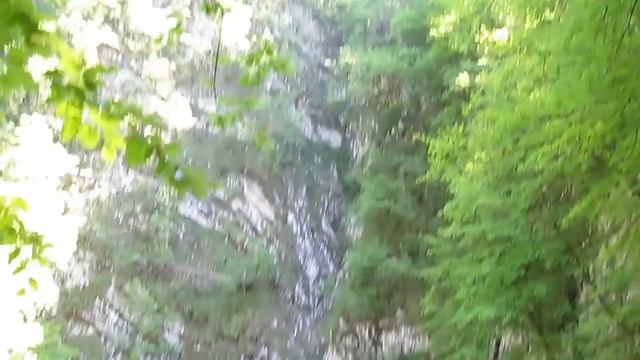 Словения. Идрия. Дикое озеро/Divje jezero #46 смотреть онлайн