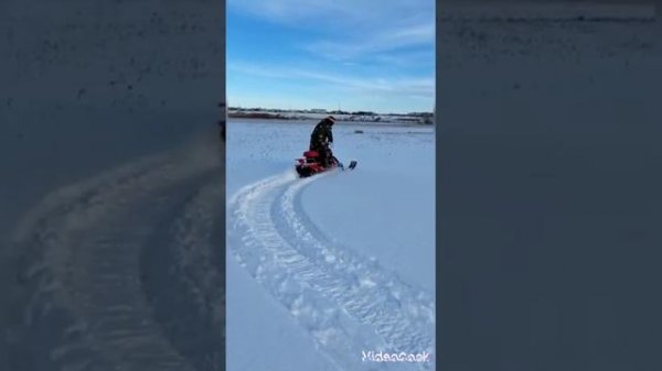 Irbis dingo 150 и обновленный Irbis dingo 200.