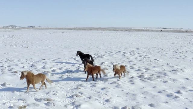Сборник ЛУЧШИХ Мелодий от которых мурашки по телу! Самая красивая мелодия на свете! #Музыка смотреть онлайн