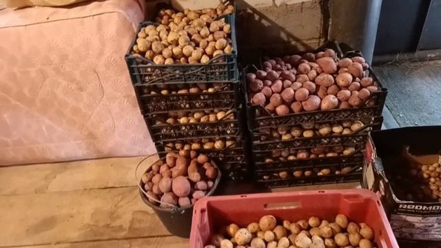 СЕРГЕЙ СДЕЛАЛ СКАМЕЙКУ У ДВОРА, ПОДГОТОВИЛ САРАЙ К ЗИМЕ /ЗАКРЫЛА КОМПОТ/КАРТОШКА С КУРИЦЕЙ В ДУХОВК