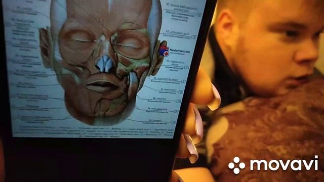 Кому интересны мышцы лица, вам сюда????