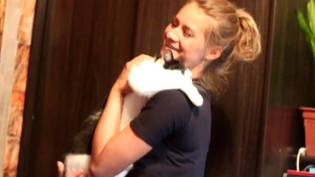 Как кот просится на руки смотреть онлайн