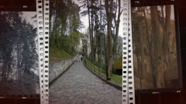 Туристическа Агенция Alfa Cars & Travel Варна 0888 004 371 смотреть онлайн