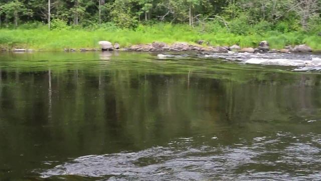 РЕКА ШУЯ, КАРЕЛИЯ, ПРЯЖИНСКИЙ РАЙОН