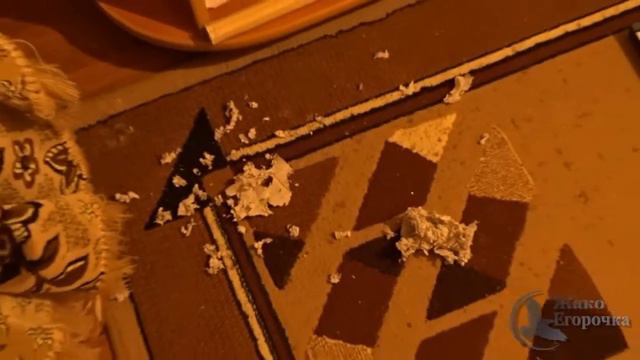 Жако Егорочка. Главный мусорщик в доме. смотреть онлайн