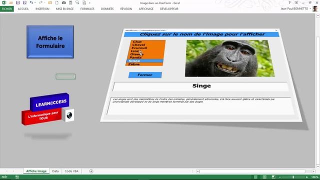 Excel VBA - Comment afficher des images dans un Formulaire смотреть онлайн