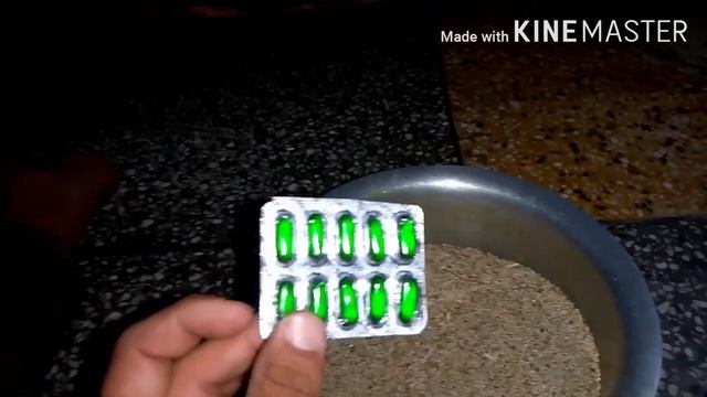 Budgies breeding formula | Love birds,Cocktail, Java,Finch, Breeding Formula 100% Successful | Hind смотреть онлайн