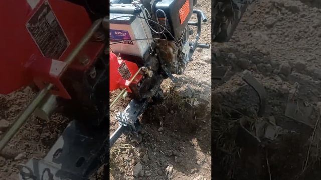 хиромики 188F смотреть онлайн