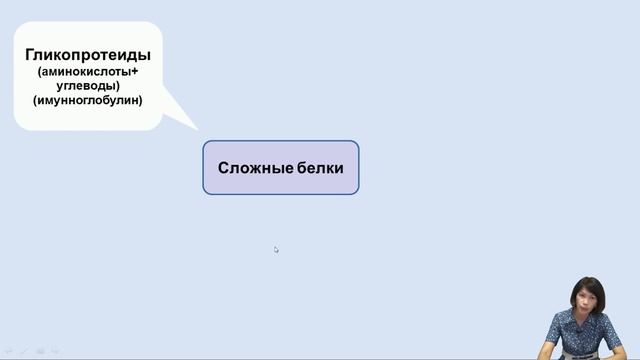 Лекция 2. Строение и функции белков. смотреть онлайн