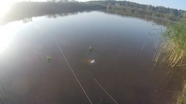 Живой корм для аквариумных рыб, ловля тралом. смотреть онлайн