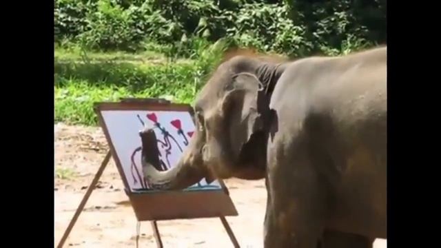 The elephant draws a picture Слон рисует картину смотреть онлайн