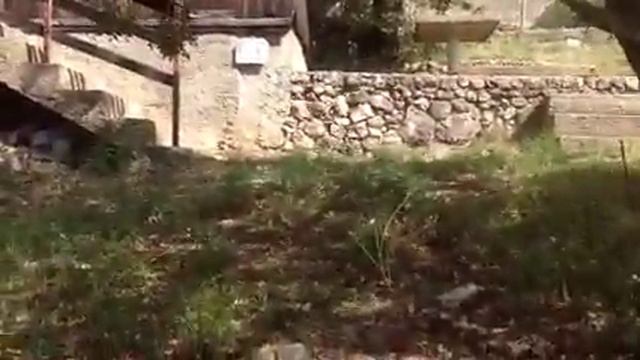 Продажа Дачи на море 38 тыс ЕВРО - Черногория.