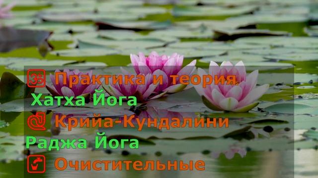 Онлайн школа Йоги - Hatha Yoga | Lotus смотреть онлайн