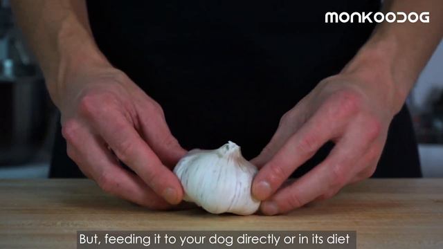 Can dogs eat 🧄 garlic? We have got the RIGHT answer for you смотреть онлайн